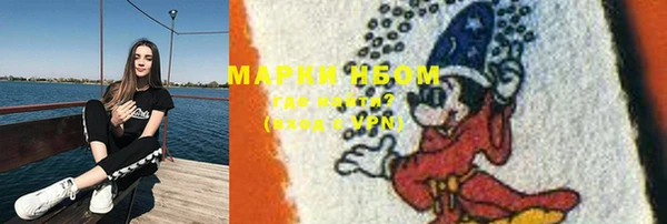 молекула духа Вяземский